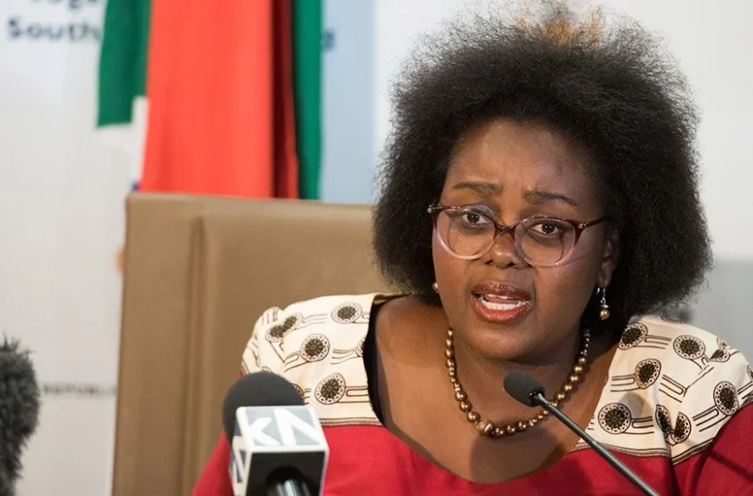  Xenophobia: Our artistes losing gigs, businesses affected, South African minister laments