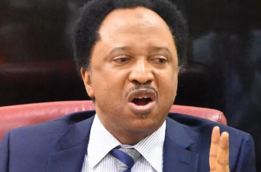  Catholic Bishops speak truth to power – Shehu Sani